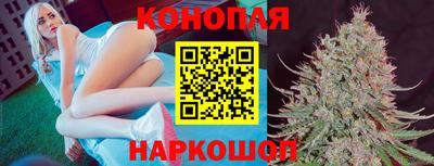 прущие грибы Вязьма